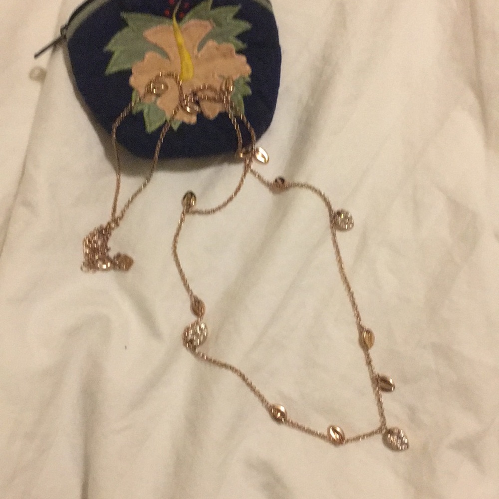 Banana republic long necklace.